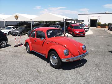 VOLKSWAGEN MAGGIOLINO MESSICO 1.2

Immatricolato 1979, 1192cc, 34Cv/27Kw, 108.000Km, 3porte/5posti.

Rimangono sempre esclusi i costi :

-del passaggio di proprietÃ  pari ad euro 300,00

-messa su strada pari ad euro 300,00 che include controlli e/o tagliando completo preconsegna (olio,filtro olio, filtro aria ), kit gonfiaggio. 

Di serie con :  Motore a 4 cilindri, trazione posteriore, cambio manuale a 4 rapporti, interni full pelle perfetti, radio Alpine.   

I NOSTRI SERVIZI :

-Vendita auto usate e storiche, moto e scooter nuovi e usati garantiti
-Acquisto diretto con pagamento immediato o conto vendita
-Permuta auto con moto e viceversa
-Noleggio breve e lungo termine
-Assicurazioni e Finanziamenti personalizzati
-Assistenza post-vendita
-Accessori e antifurti per moto e auto

VISITA il nostro sito internet: automotousateroma.it oppure scarica la nostra App: automotousateroma dall' Apple store o Play store per restare aggiornato sui nostri ultimi arrivi.

VIENI A TROVARCI PER VEDERE DAL VIVO QUESTO VEICOLO :
Auto Moto Usate Roma s.r.l.Via Appia Nuova 23, 00047, Marino (RM) (adiacente Sorelle Ramonda)

*************

HAI UNA PERMUTA?
compila il form sull'App o nel nostro sito automotousateroma.it
oppure inviaci foto e descrizione (modello anno km motore ...)
al nostro numero whatsapp : Cell. 366-6562866 o 351-4646876 Fisso 06-7215841 e-mail :  info@automotousateroma.it

*************
La Auto Moto Usate Roma Srl declina ogni responsabilitÃ  per eventuali involontarie incongruenze che non rappresentano in alcun modo un impegno contrattuale e invitano i clienti a verificare sempre dal vivo la correttezza dei dati che potrebbero non coincidere con lâ€™effettivo equipaggiamento del veicolo spesso dovuto alla incompatibilitÃ  dei dati trasmessi sulle varie piattaforme web.