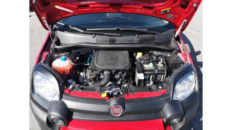 Fiat Panda CROSS 1.0 FireFly S&S Hybrid PROMO WEB Berlina