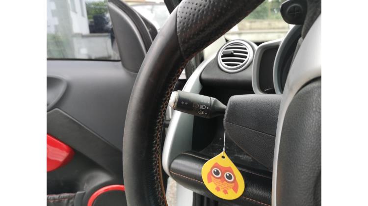 Smart Fortwo 451 BRABUS Berlina
