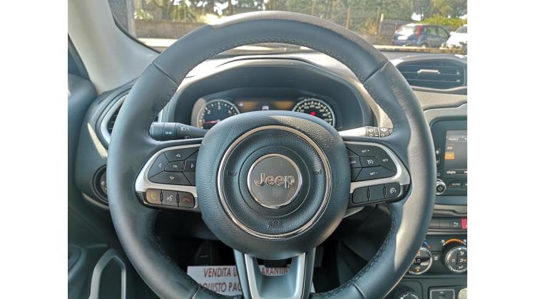 Jeep Renegade 2.0 4X4 LIMITED Fuoristrada/SUV