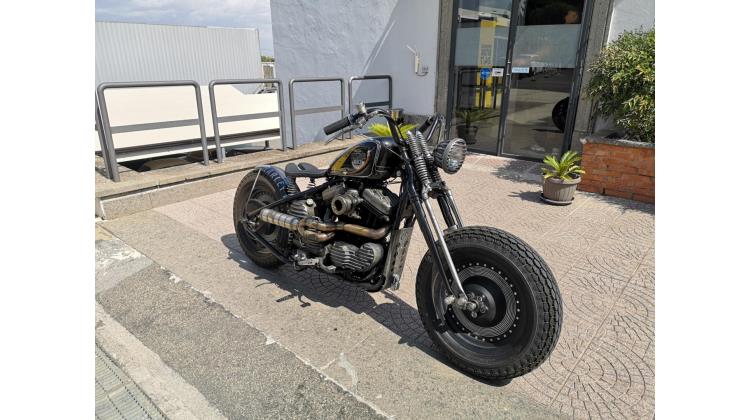 Harley-Davidson XL 883 BRUSCHED ARMON CUSTOM
