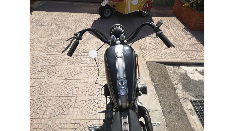 Harley-Davidson XL 883 BRUSCHED ARMON CUSTOM