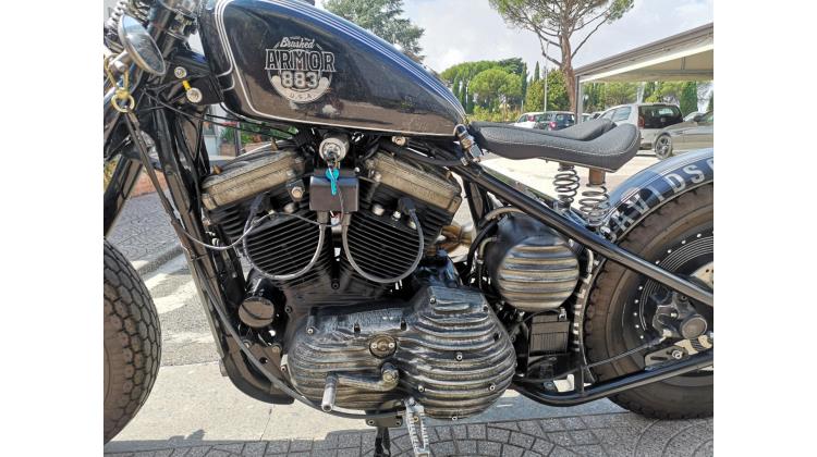 Harley-Davidson XL 883 BRUSCHED ARMON CUSTOM