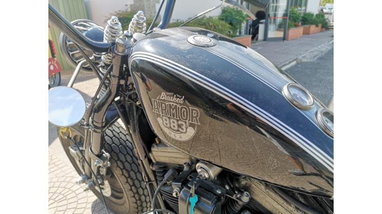 Harley-Davidson XL 883 BRUSCHED ARMON CUSTOM