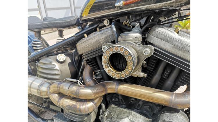 Harley-Davidson XL 883 BRUSCHED ARMON CUSTOM