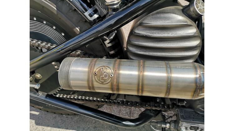 Harley-Davidson XL 883 BRUSCHED ARMON CUSTOM
